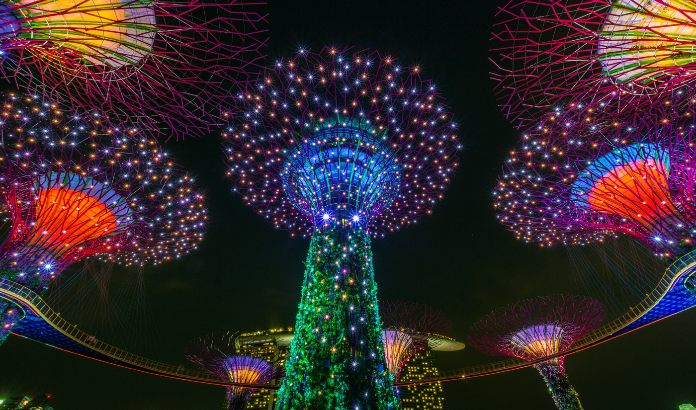 header-sg